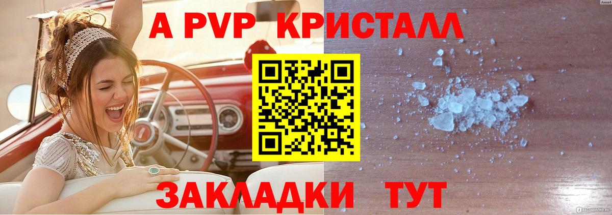 А ПВП СК Камышин