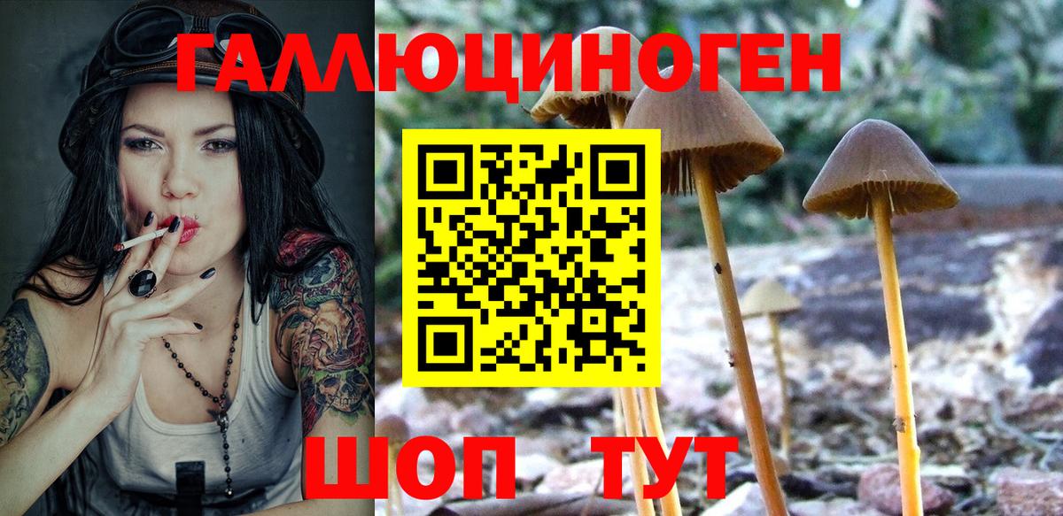 Псилоцибиновые грибы ЛСД  где найти   Камышин  Вход с VPN 